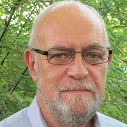 thumbnail image of collection