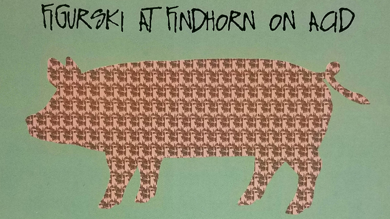 gallery image of Figurski at Findhorn on Acid