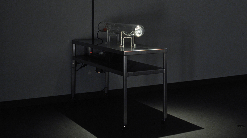 gallery image of I was scared to death; I could have died of joy