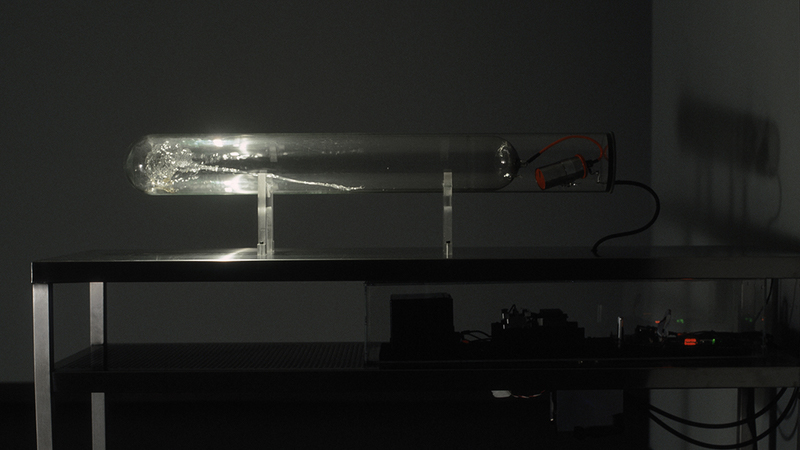 gallery image of I was scared to death; I could have died of joy