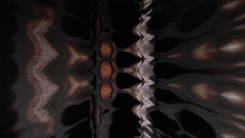 gallery image of The Many Voices of Saint Catherine of Pedemonte