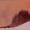 thumbnail image of work