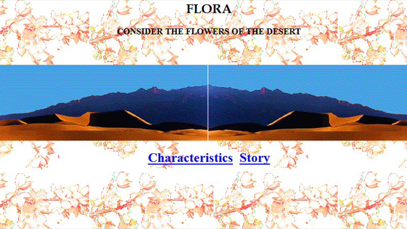 gallery image of Life in the Chocolate Mountains