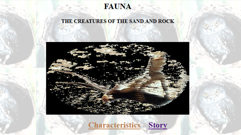 gallery image of Life in the Chocolate Mountains