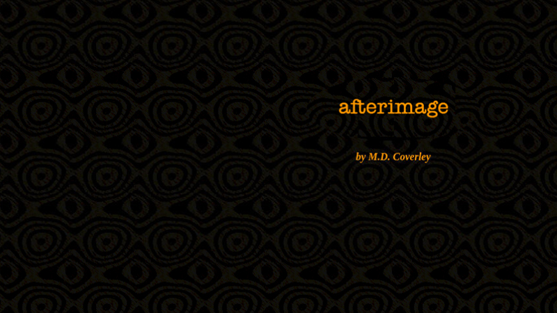 gallery image of Afterimage