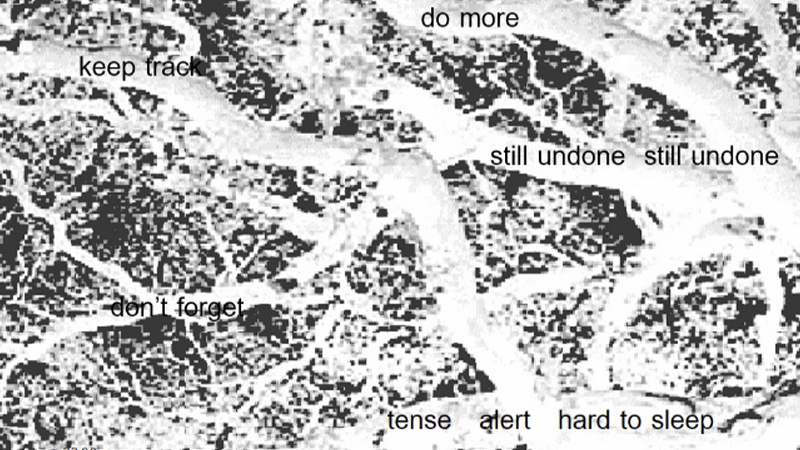 gallery image of Hours of the Night