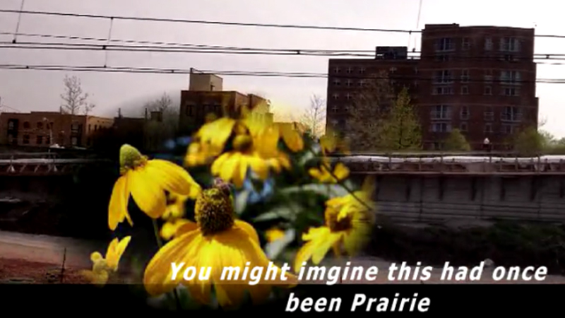 gallery image of Legends of Michigami: Prairie Chants