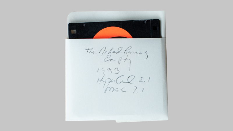 gallery image of the naked raving empty