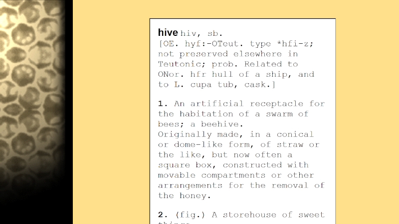 gallery image of Honeycombings: undermining from the fringe