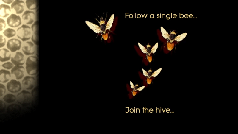 gallery image of Honeycombings: undermining from the fringe