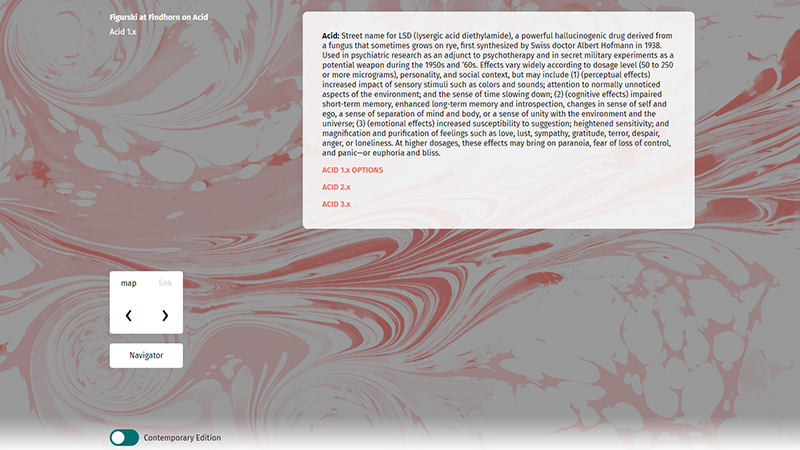 gallery image of Figurski at Findhorn on Acid