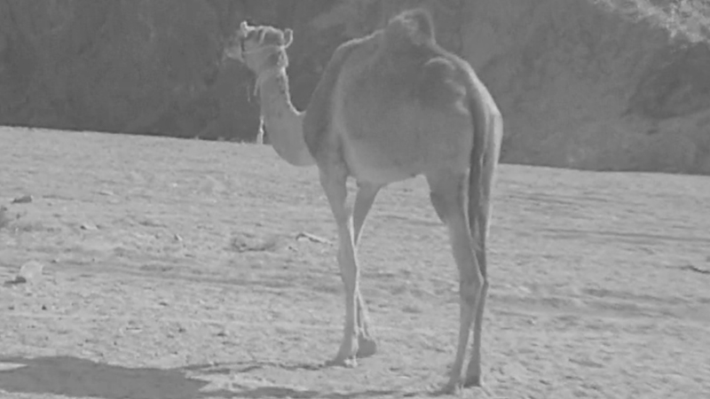 gallery image of The9th-Allegro