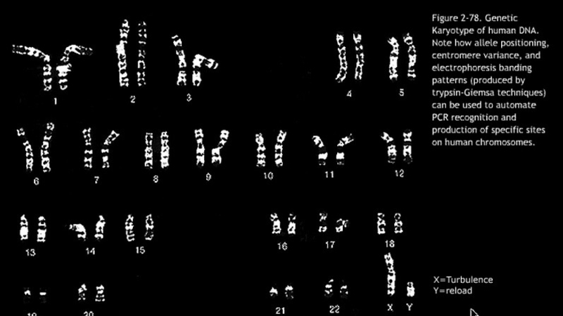 gallery image of Bionet::Recombinant