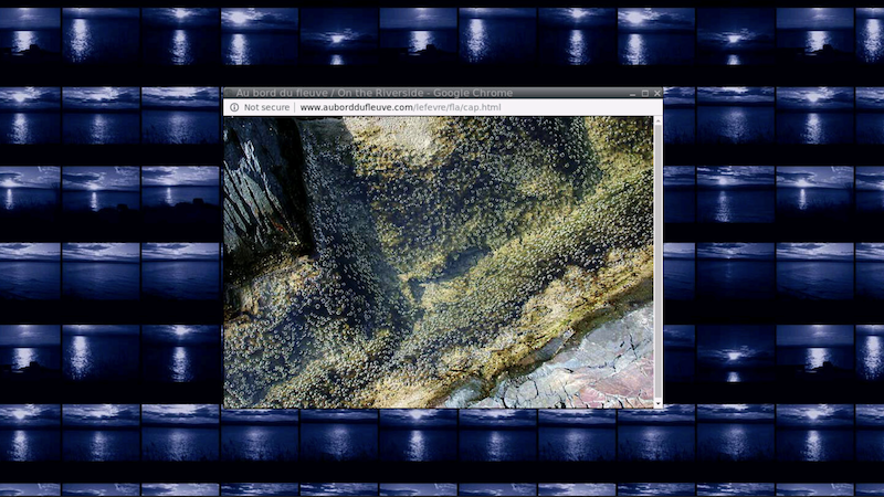 gallery image of Au bord du fleuve (On the Riverside)