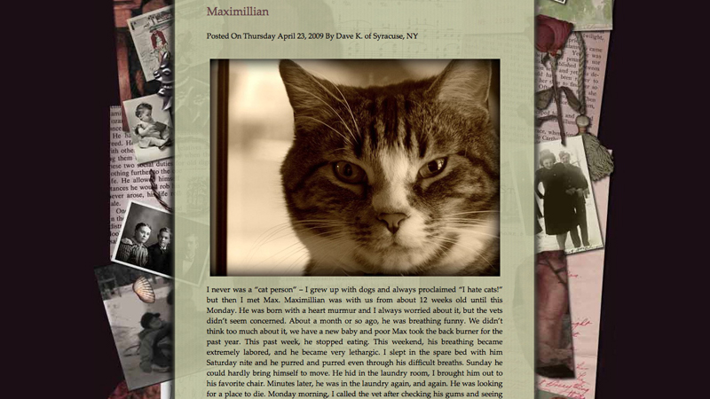 gallery image of The Saddest Thing I Own