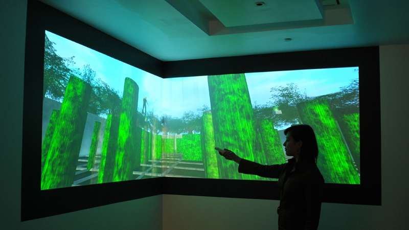 gallery image of The Vitruvian World