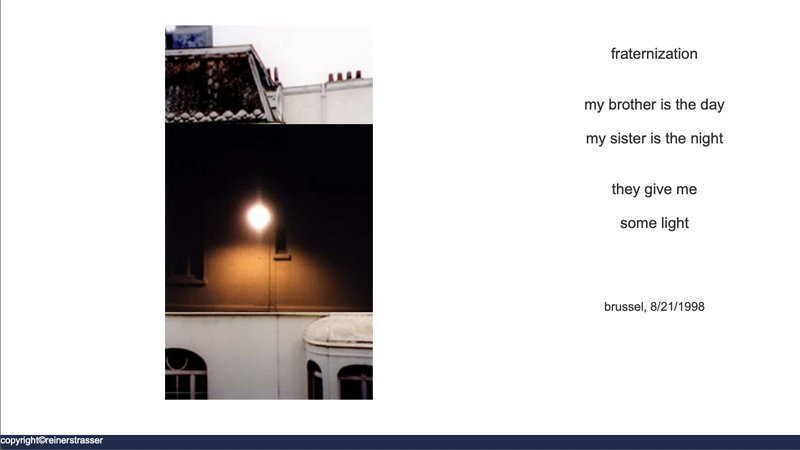 gallery image of the sea horse (belgian reflections)