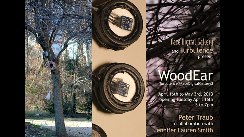 gallery image of Turbulence@PaceDigitalGallery3: WoodEar