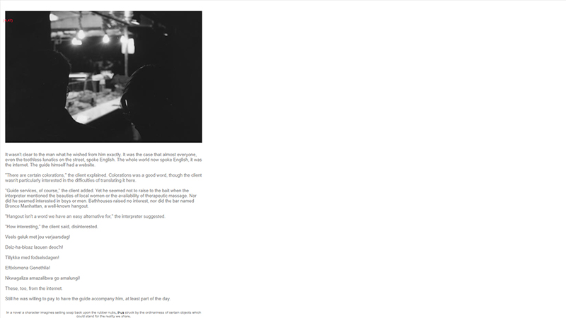 gallery image of On the Birthday of the Stranger