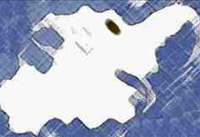 highlight image of work