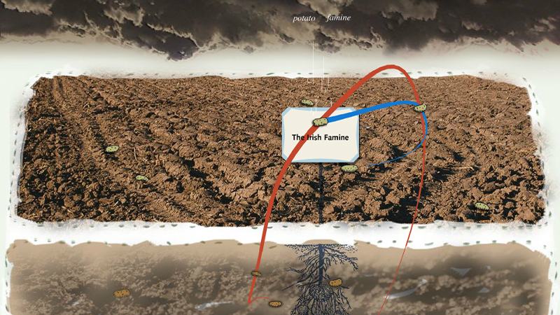 gallery image of Mobile Figures