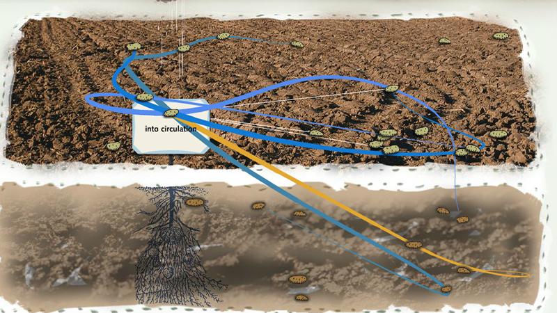 gallery image of Mobile Figures