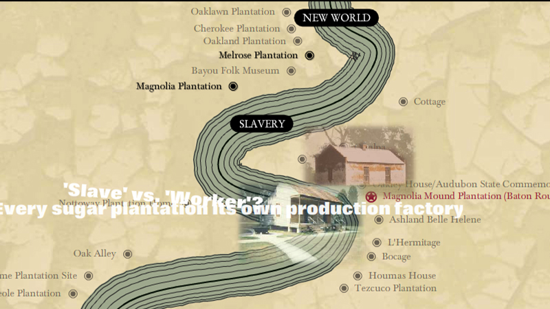 gallery image of Slavery's Ephemera: The Contemporary Life of the Antebellum Plantation