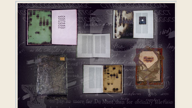 gallery image of The Agrippa Files: An Online Archive of Agrippa (a book of the dead)