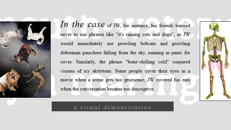 gallery image of Malperception