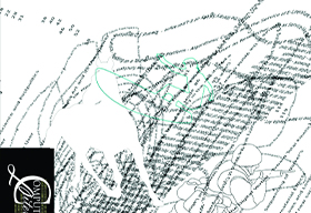 highlight image of work