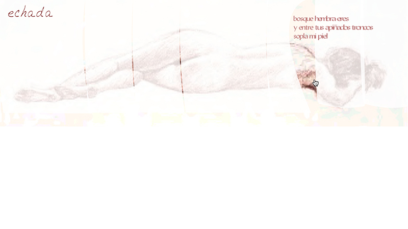 gallery image of Echada