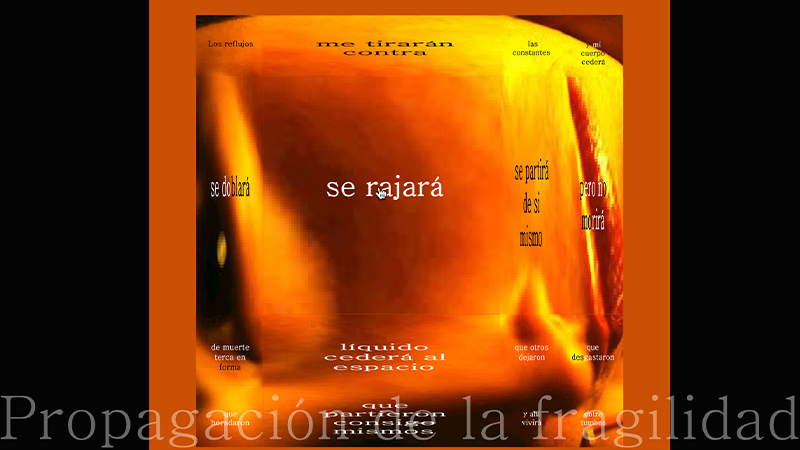 gallery image of Propagación de la fragilidad