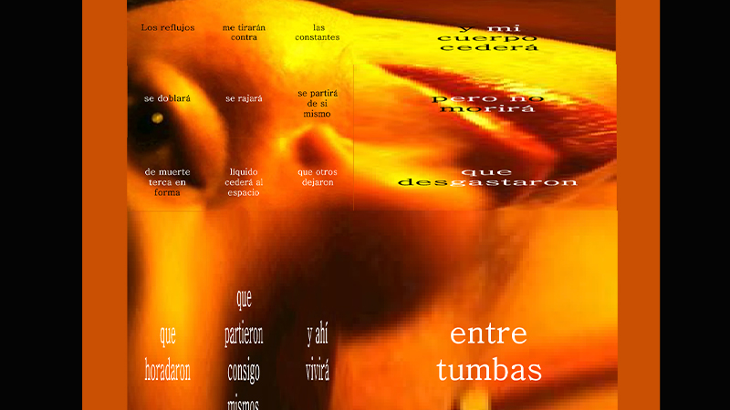 gallery image of Propagación de la fragilidad