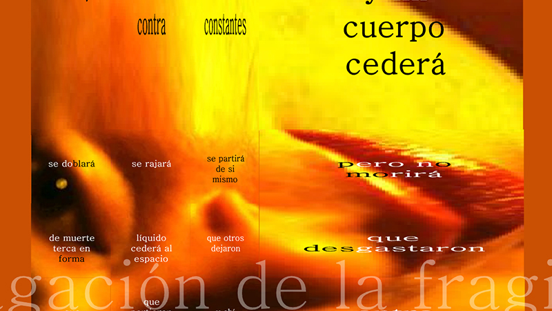 gallery image of Propagación de la fragilidad