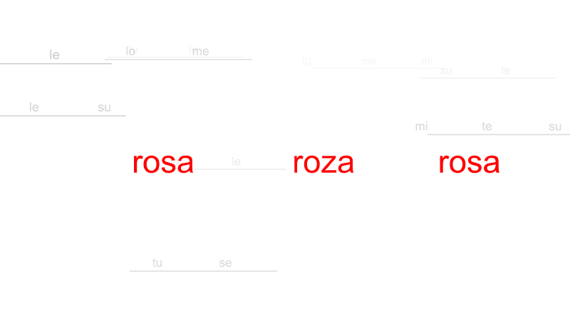 gallery image of Ro(s/z)a