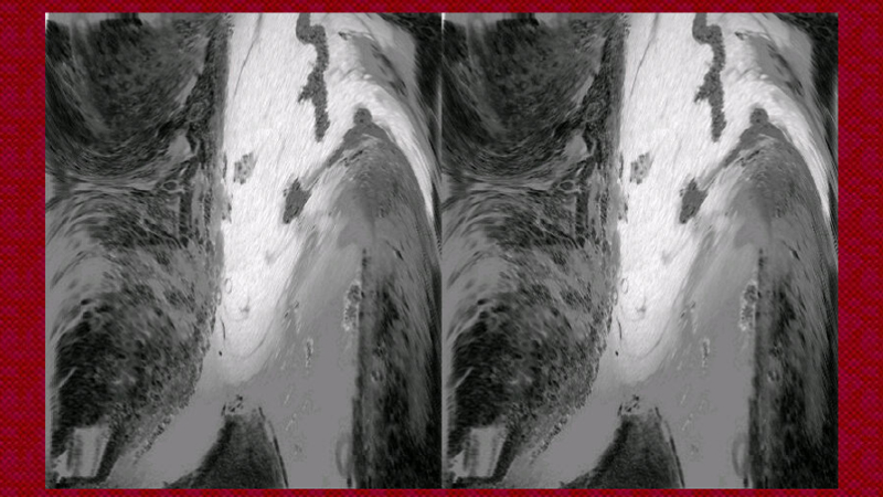 gallery image of Untitled Déa Junqueira Work