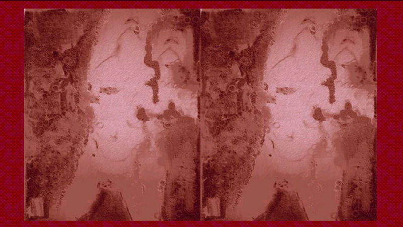 gallery image of Untitled Déa Junqueira Work