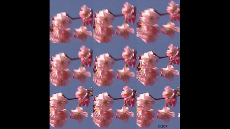 gallery image of A Bouquet for Regina Celia Pinto