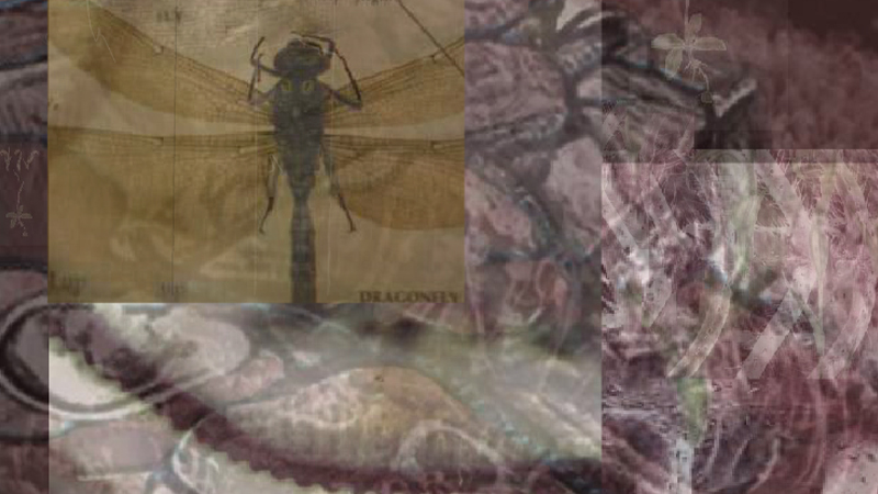 gallery image of Untitled Nielsen Work 1