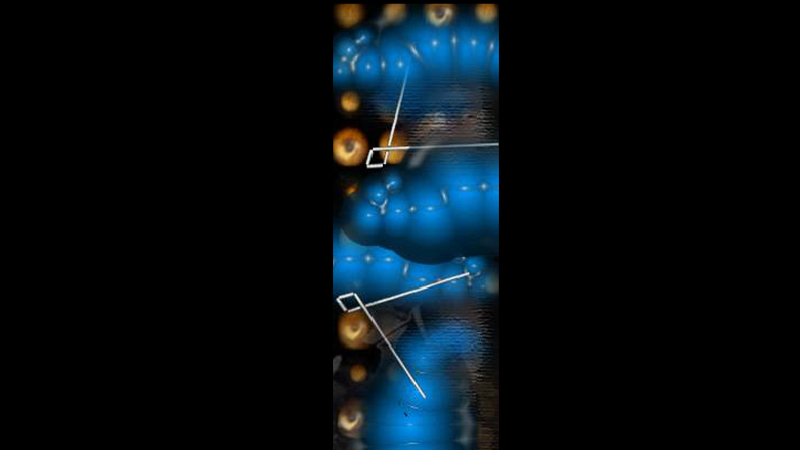 gallery image of Tropical Tribute to Antoine Schmitt