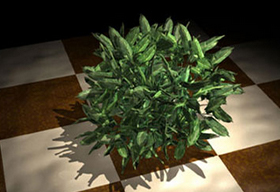 highlight image of work