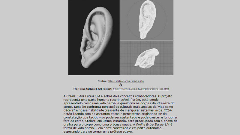 gallery image of Extra Ear 1/4 Scale