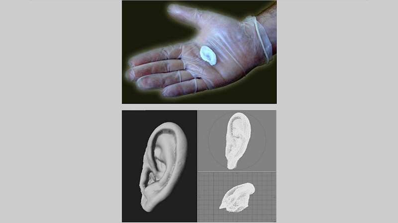 gallery image of Extra Ear 1/4 Scale