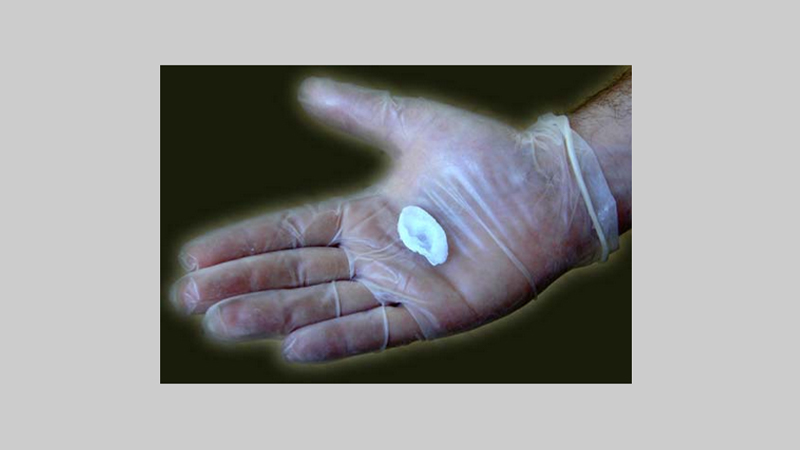 gallery image of Extra Ear 1/4 Scale