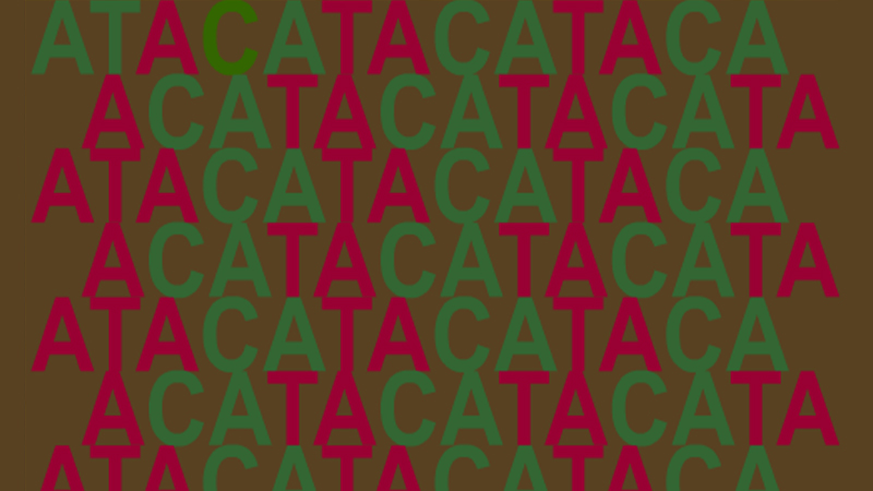 gallery image of ATACA