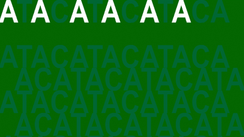 gallery image of ATACA