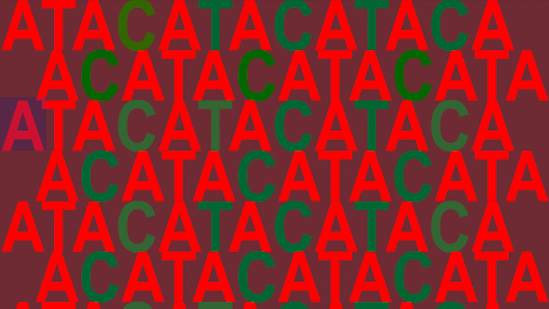 gallery image of ATACA