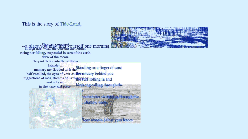 gallery image of Tide-Land