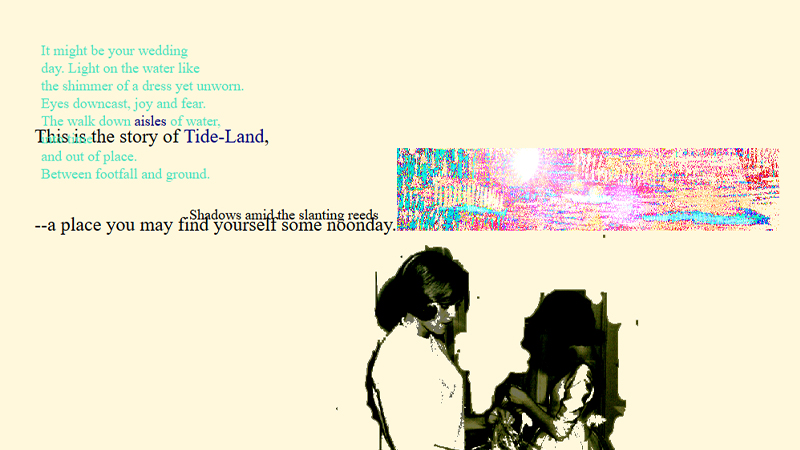 gallery image of Tide-Land