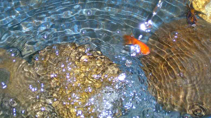 gallery image of H2O_3 | Tres